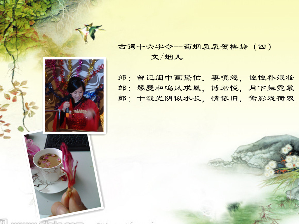 双飞燕_副本.jpg