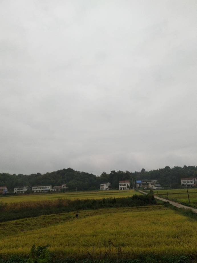 200239ga374eppawfpmuuz.jpg