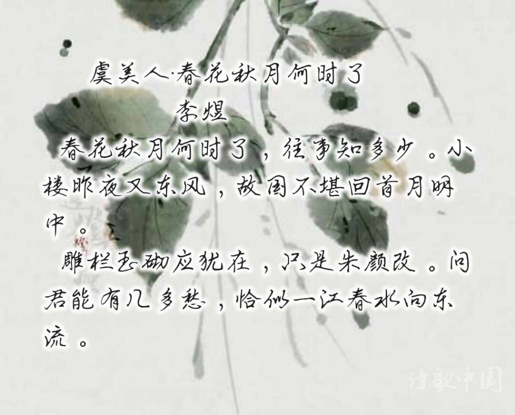2293A453-A95D-40BC-BB3F-EE7E518BB3DF.jpeg