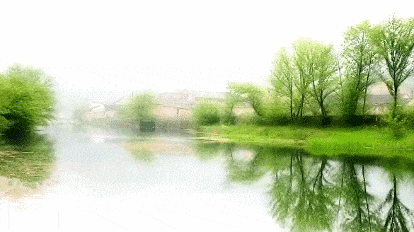92648d6488334fe19c916d0050f096fe.gif