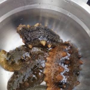 我的相册