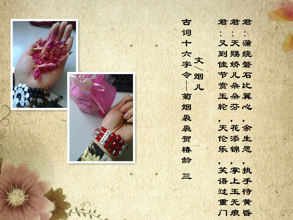 落花2_副本.jpg