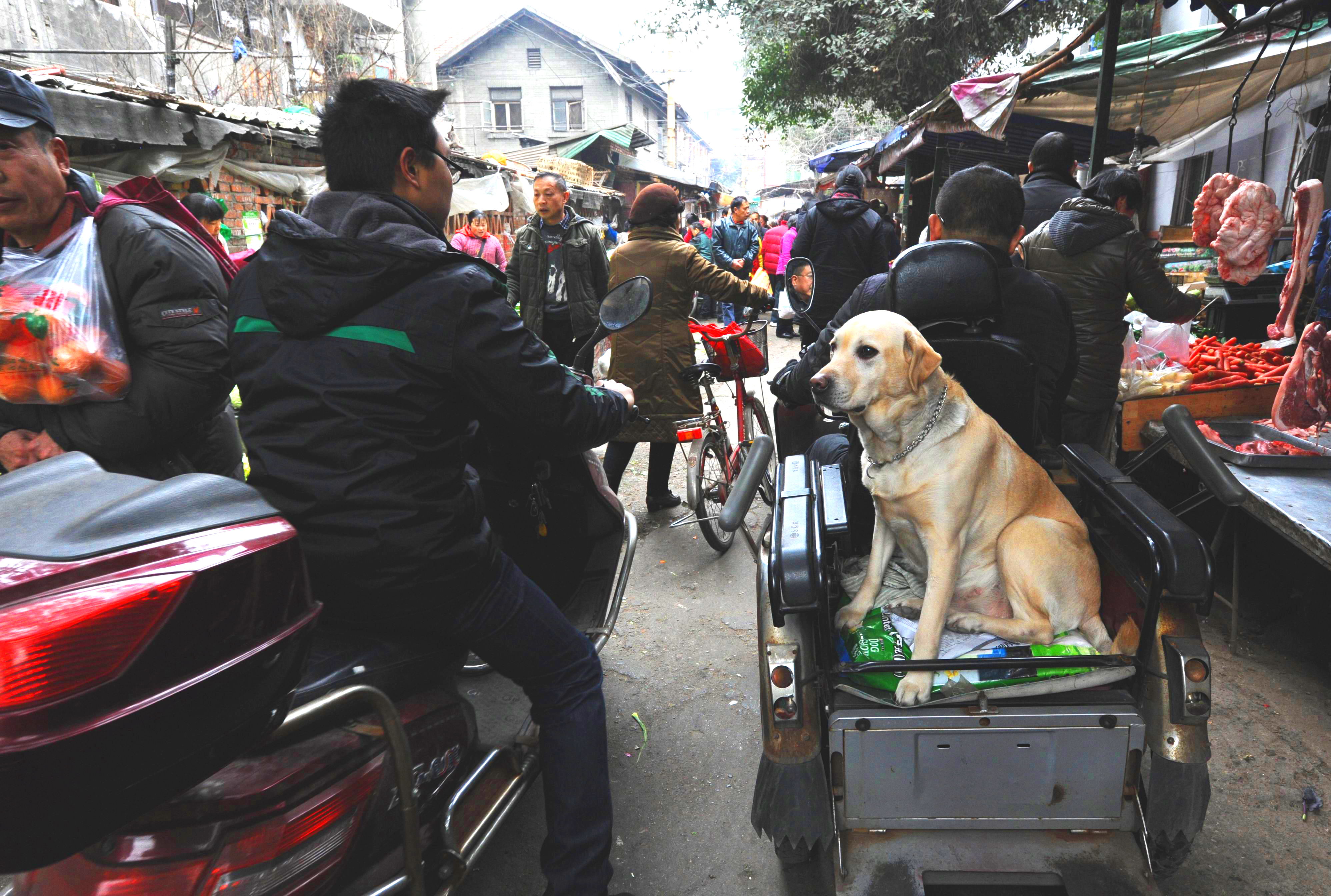 赶场DSC_3746_看图王_看图王.jpg