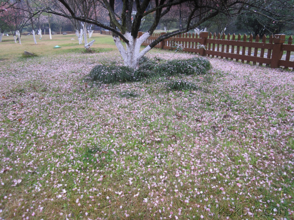 20120223130224JCB.jpg