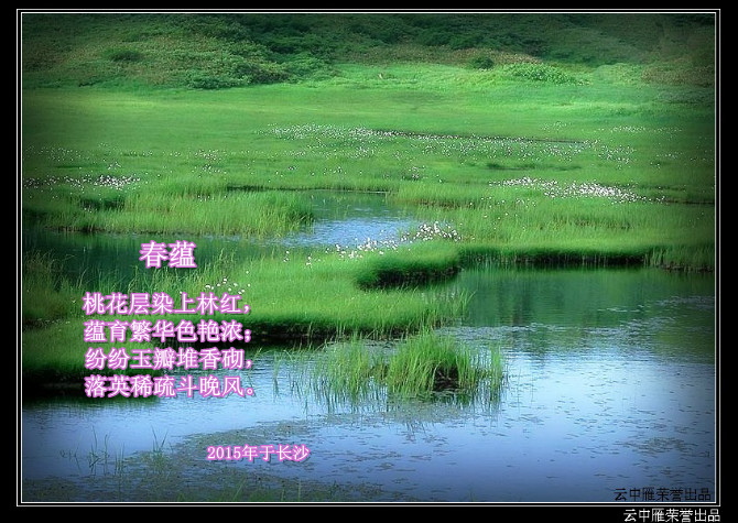 春蕴.jpg