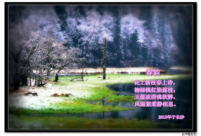 春韵.jpg