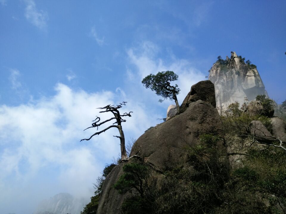 岩松.jpg
