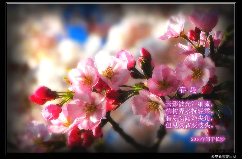 春趣-副本.jpg