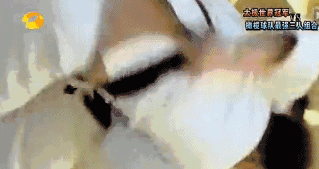 14.gif