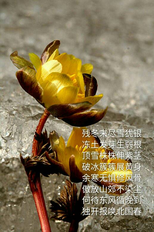 164626az8oz3js22820jwf.jpg