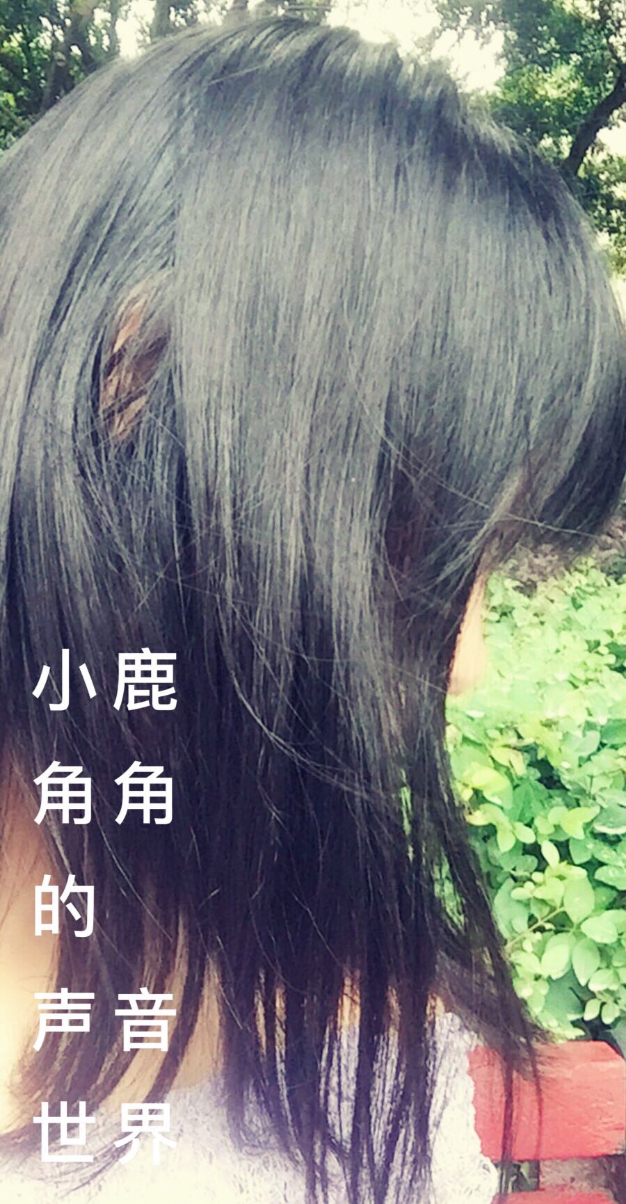 223053trpqr4q3i4vcyicp.jpg