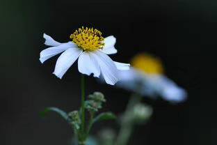 110640tg8pgmm14mjqqqbg.jpg