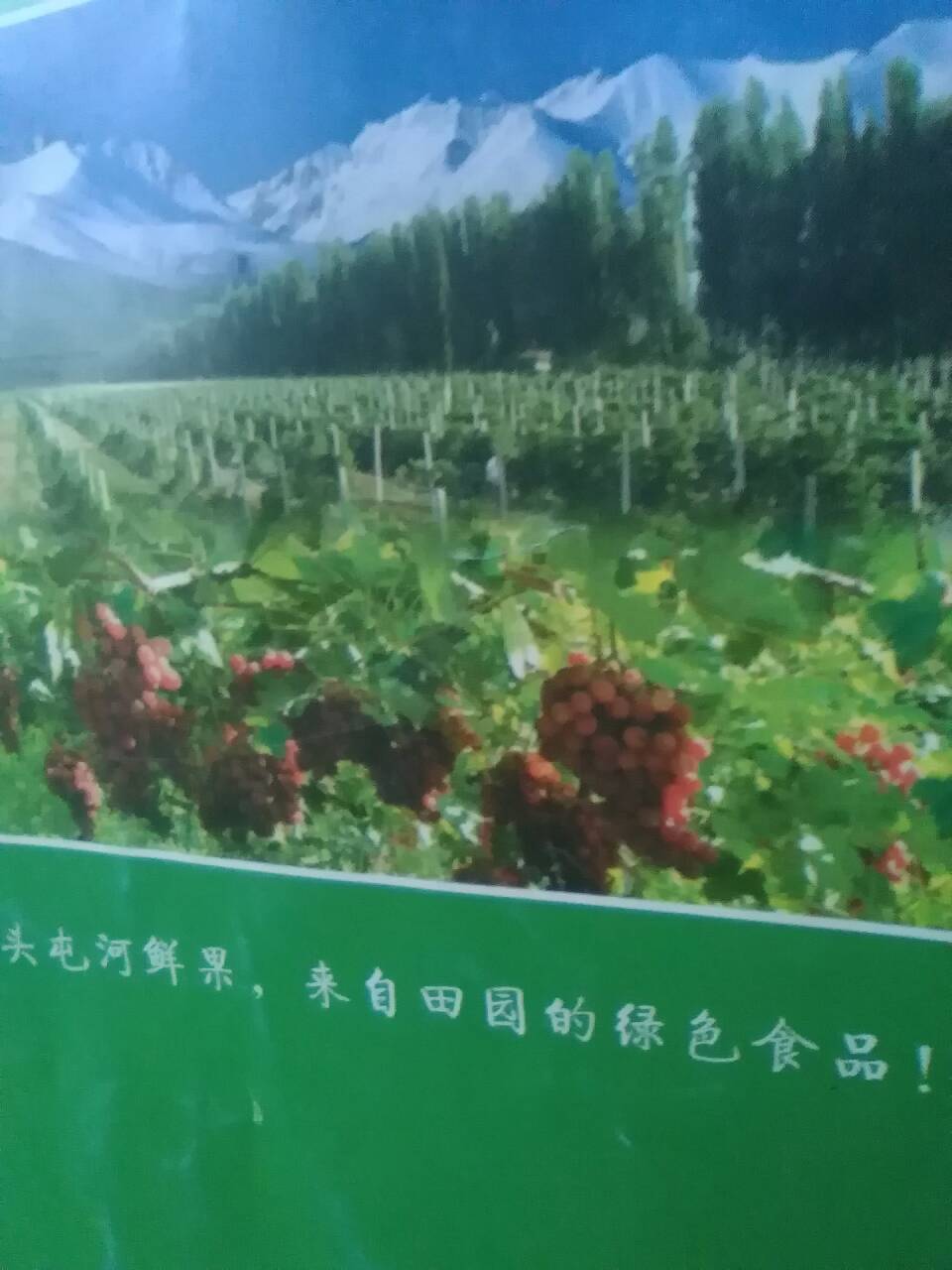 234856bb5i2ps72kyzpphb.jpg