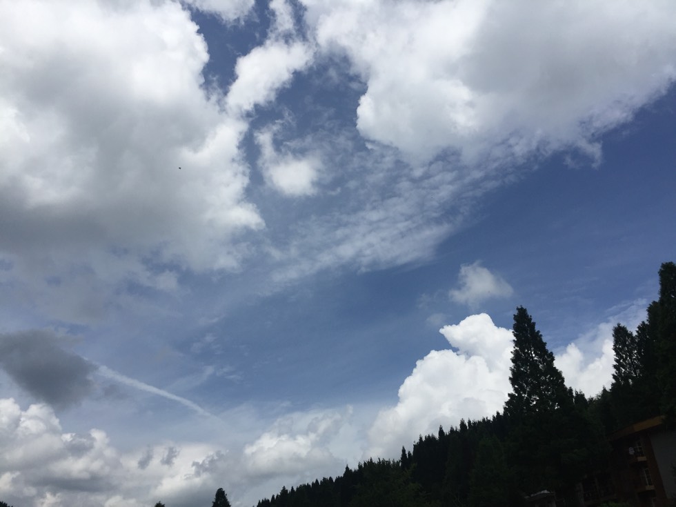160649ycnz07cyzcd0d8nz.jpg