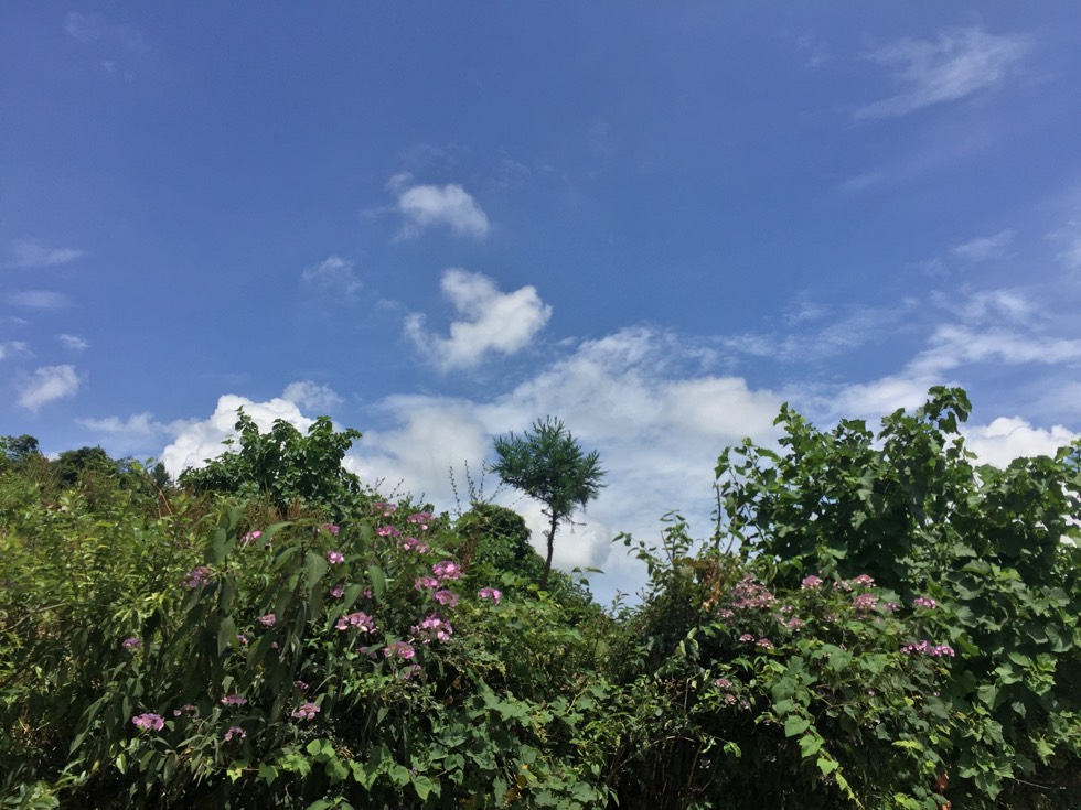 160657iav624gu8xx15fxx.jpg