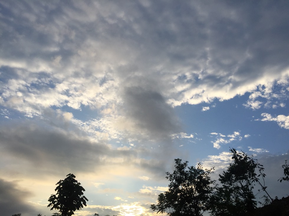 141158fbn7mjk87r8qzq8q.jpg