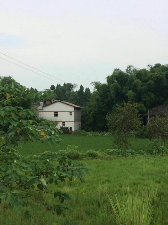 201016lv6obp70wa7j015b.jpg