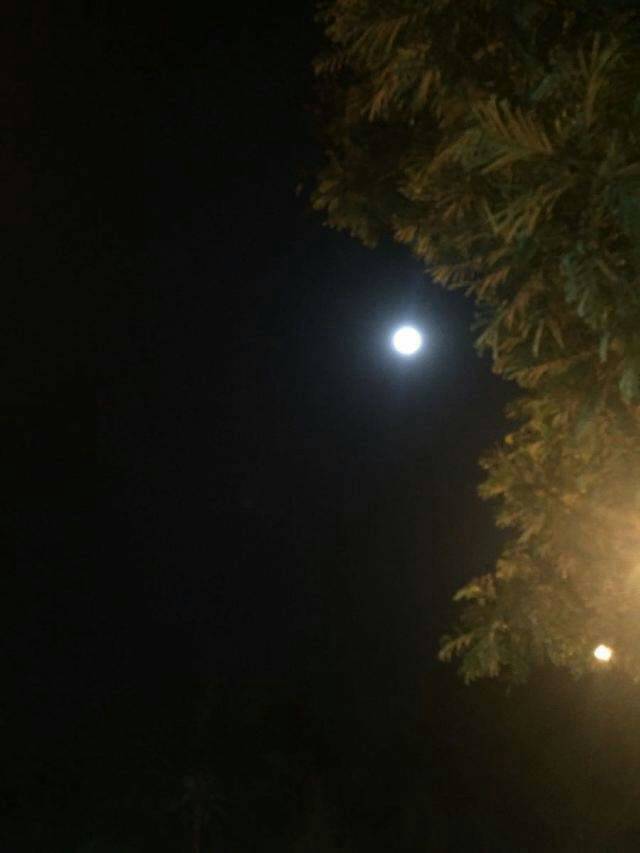 081828hdjxdqjuxjfjfqzb.jpg