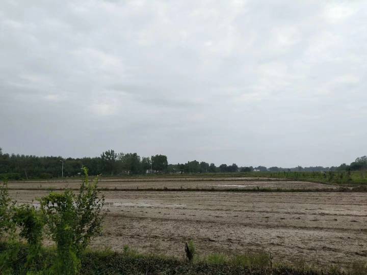 225053n6img9ogrgkoiniv.jpg