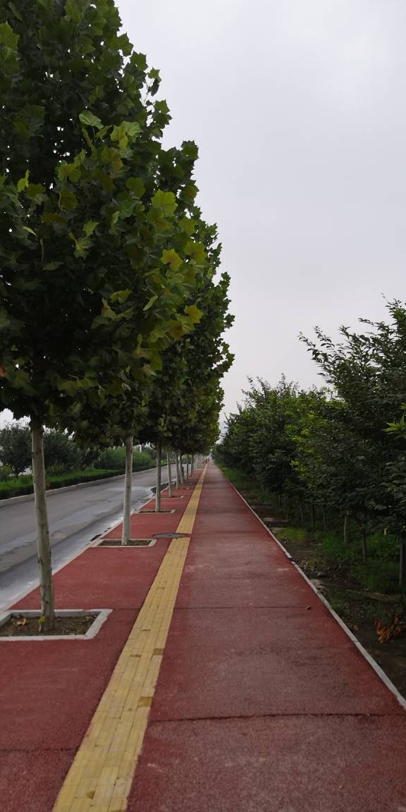101809mabqikiisighivih.jpg