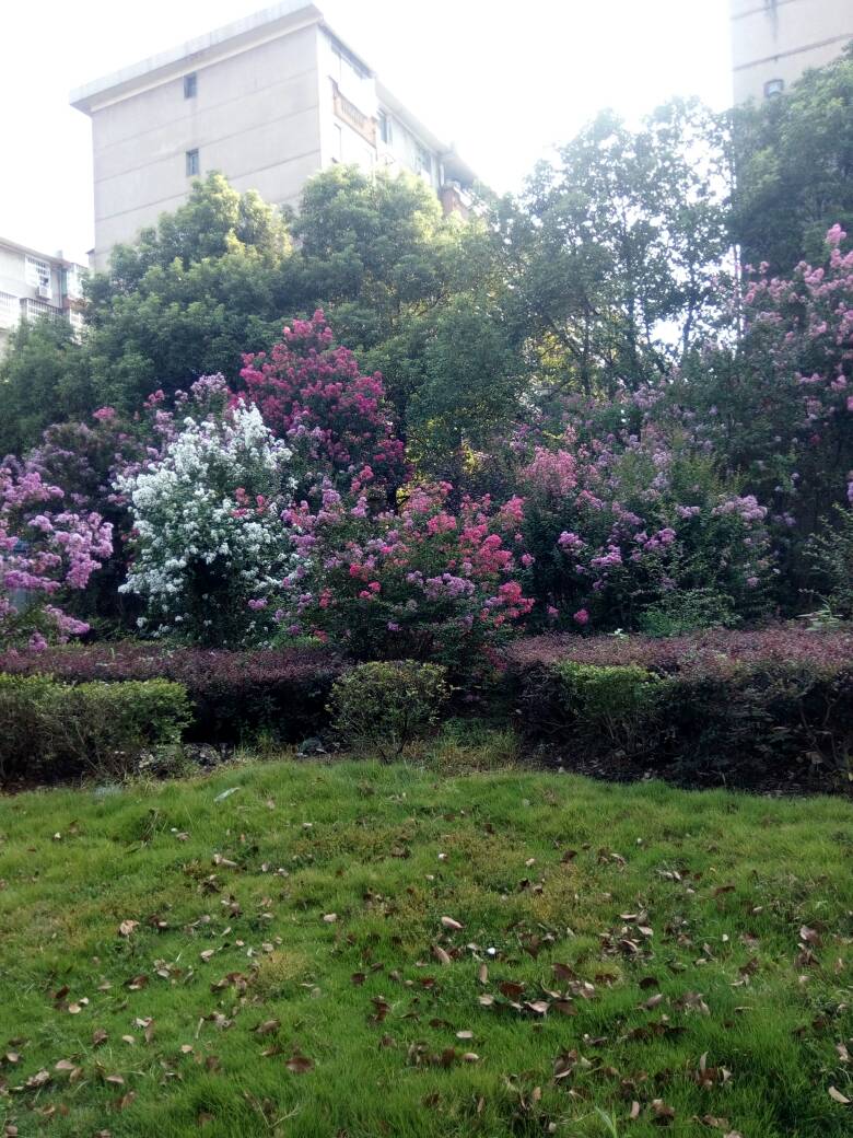 150142o22m0jn2nihmsaib.jpg