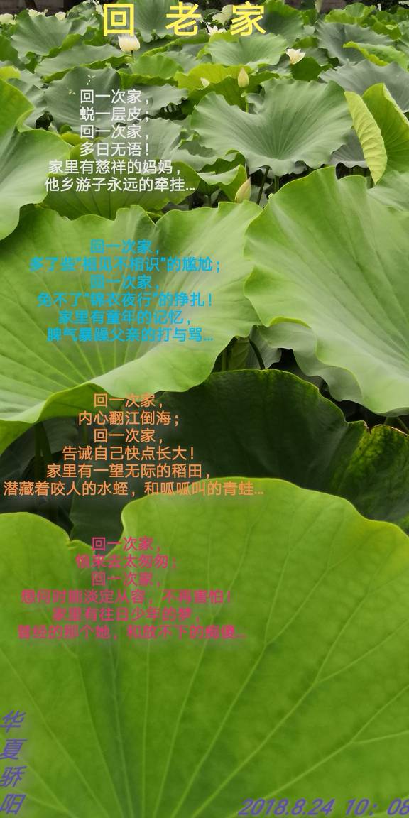 103353wvtzndc3s2r33wor.jpg