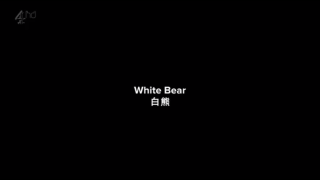 3b3dc149ecae4a84a9be1d7e739eac8f.png