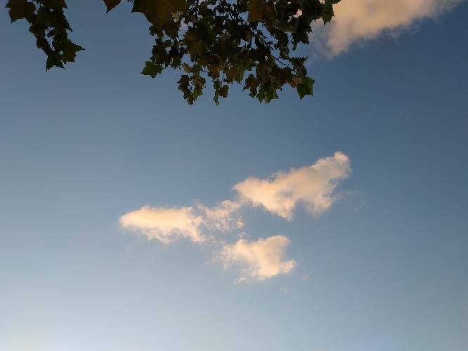 205011nl0h7h9h9x337053.jpg