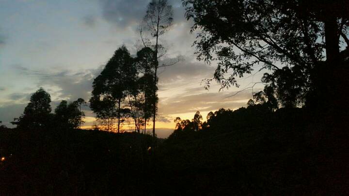 085007ehh6dkv1v1mv8jdl.jpg