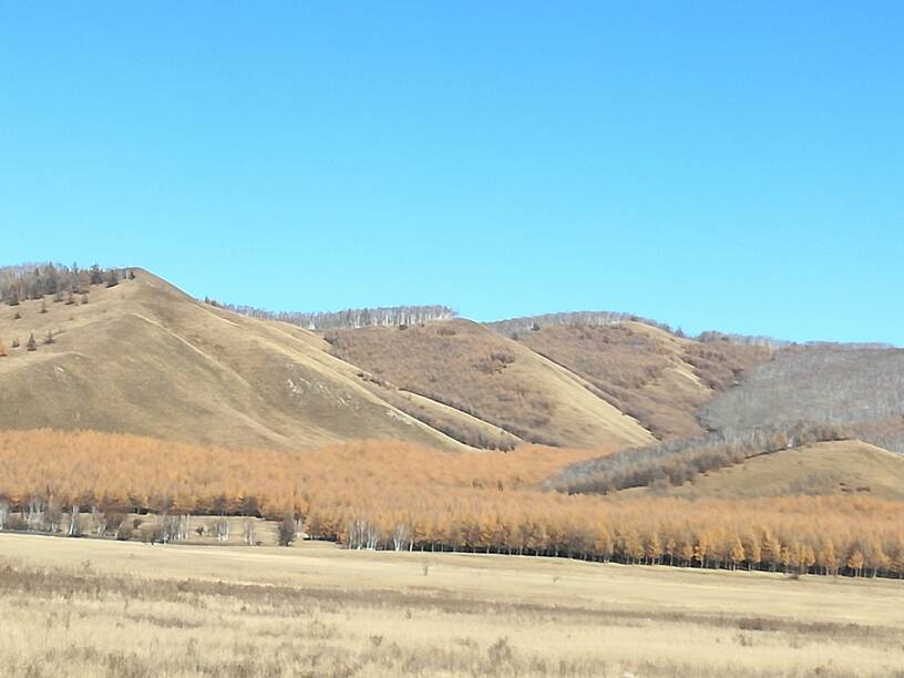 141216x3ve3zkyogsv3okk.jpg