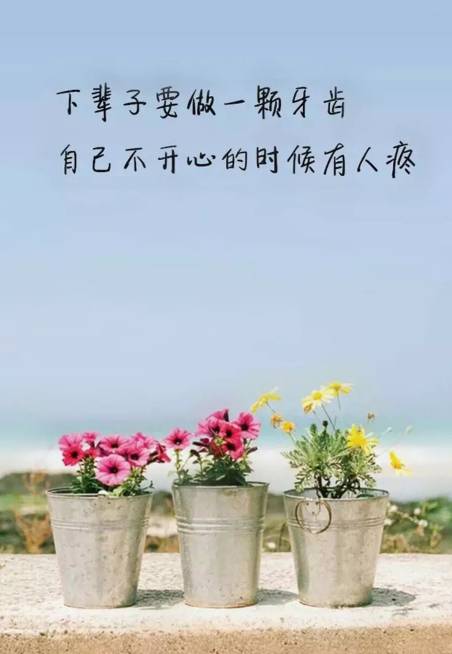 150550c8n93df8d17xfppn.JPG
