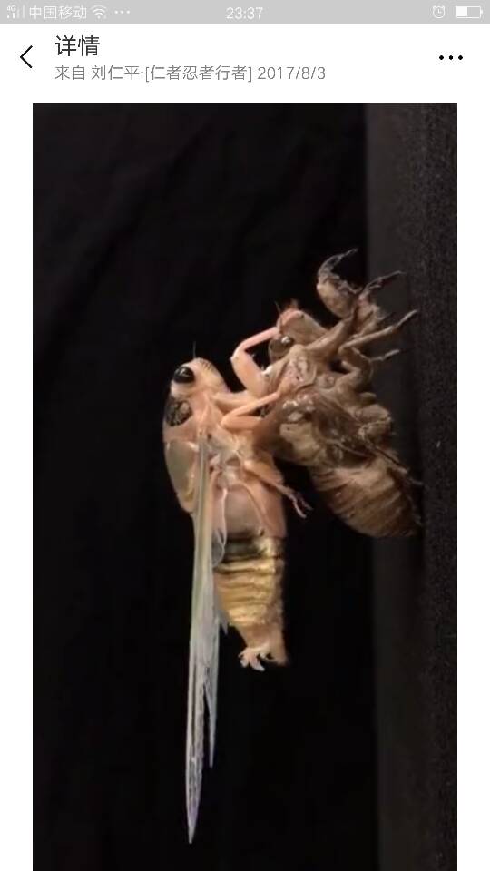 234205pnwuwjm0jn1b8e0w.png