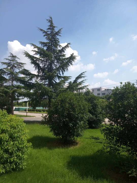 152457acfz2dihxgihhdi2.jpg
