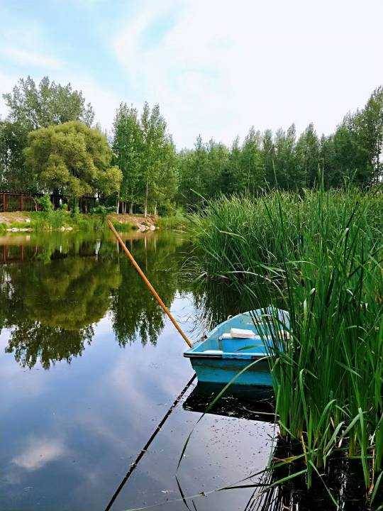 103820ioopoyzyvo55a0oz.jpg