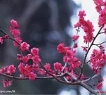 p23929965.webp.jpg
