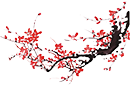 1ef10359a0bb446bb55427c9f15669c4.jpg