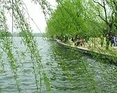 p27764543.webp.jpg