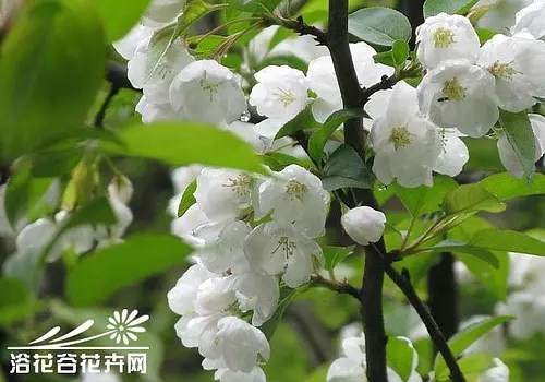 p28183955.webp.jpg