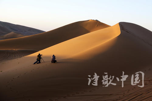watermark,image_cGljLzIwMTgxMTE4L29zc18xNTQyNDg1MTU1NzcwXzM0OF82NzVfMjI5LnBuZw==,t_50,g_se,x_20,y_20.jpg