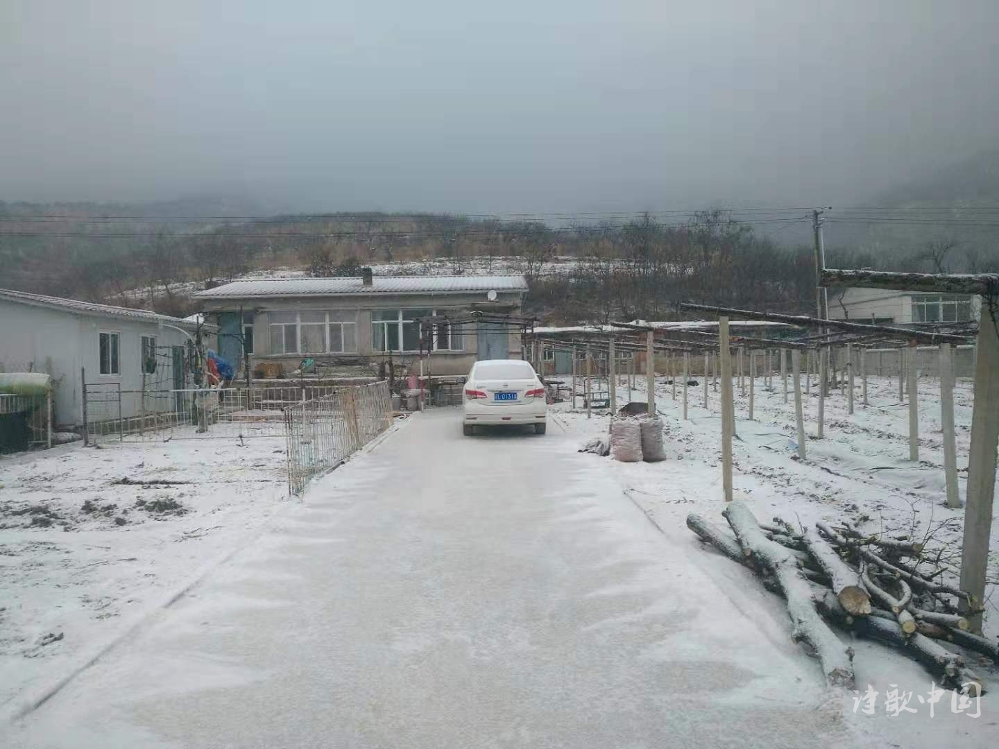 20.jpg