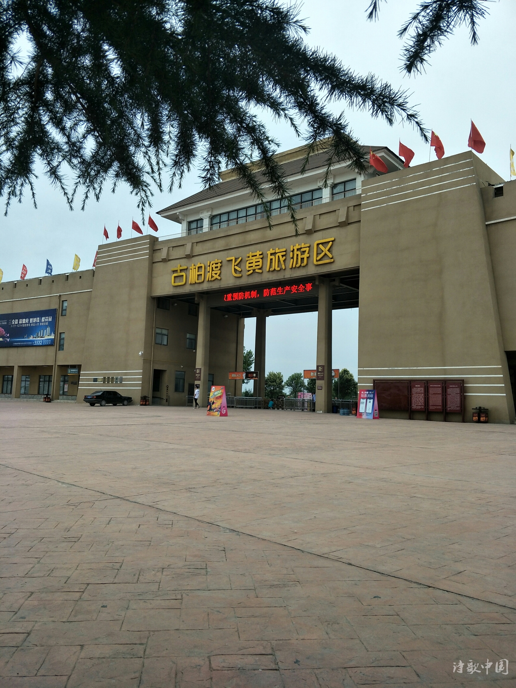 20.jpg