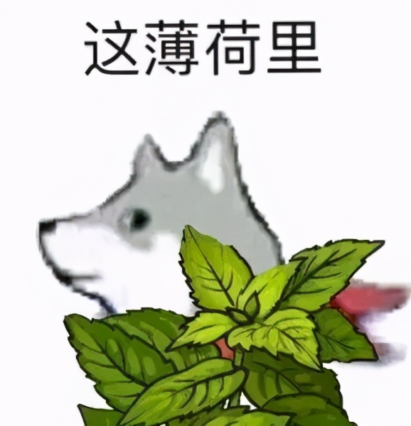 “彩礼贷”背后：跪着结婚，到底寒不寒碜？-25.jpg