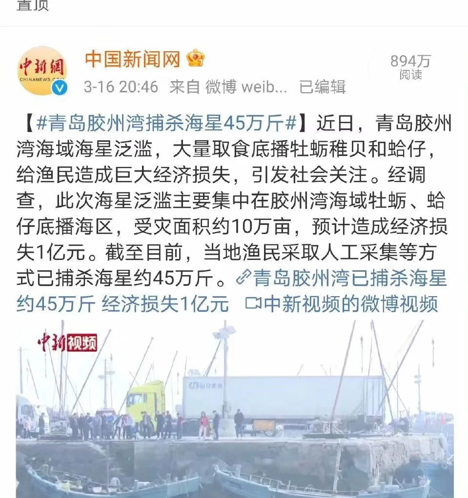 救救海星，它们好不容易才入侵中国一次，转眼就被吃光了-6.jpg