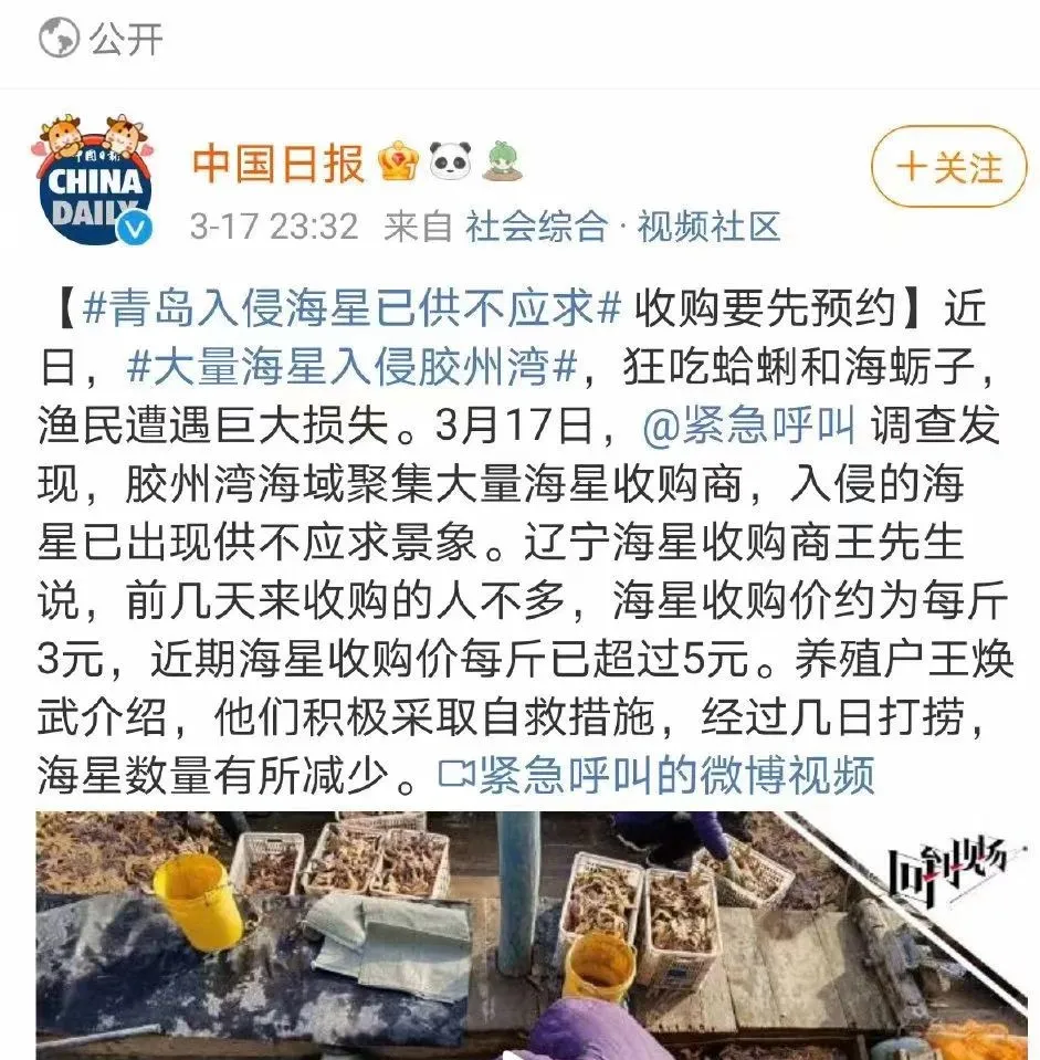 救救海星，它们好不容易才入侵中国一次，转眼就被吃光了-7.jpg