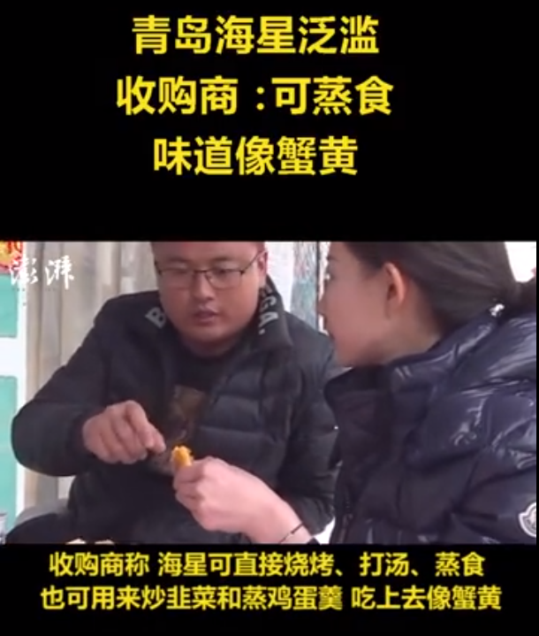 救救海星，它们好不容易才入侵中国一次，转眼就被吃光了-8.jpg
