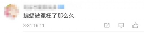 蝙蝠被冤枉了！刚刚通报-2.jpeg