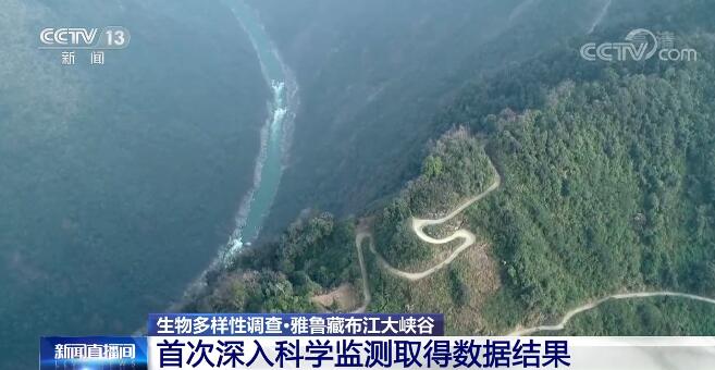 探秘地球秘境雅鲁藏布江大峡谷 各种或神秘或稀有的动物...-1.jpg