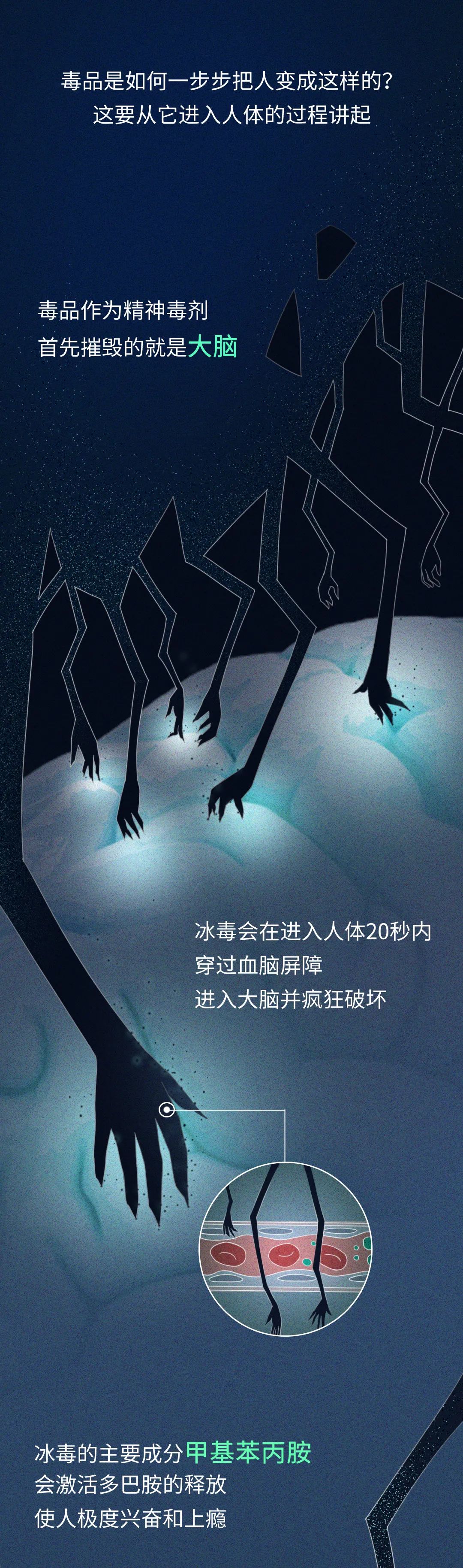吸进去的毒品，是怎么一步步摧毁人体的？-2.jpg