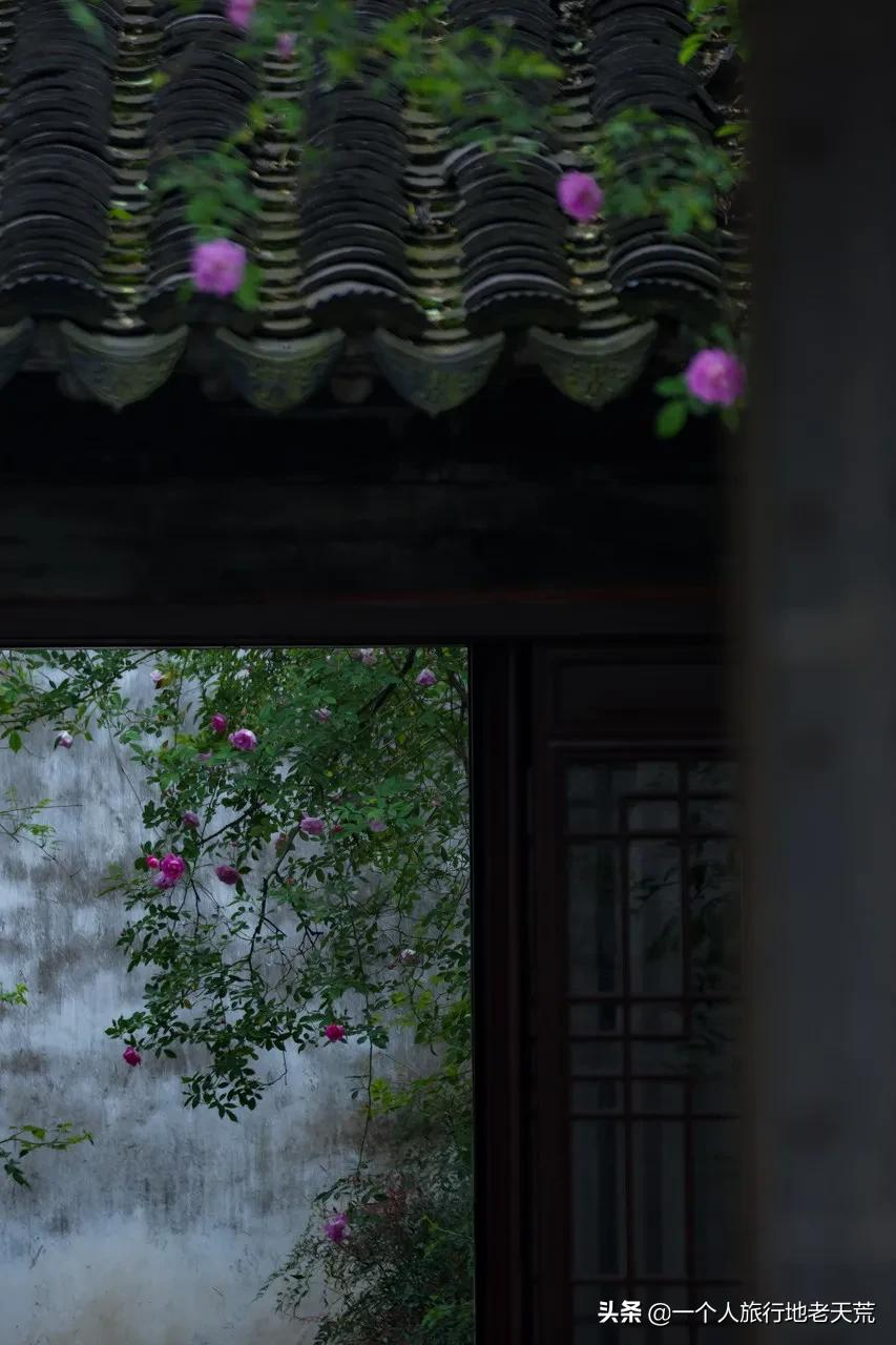 生活在别处，不如生活在苏州-44.jpg
