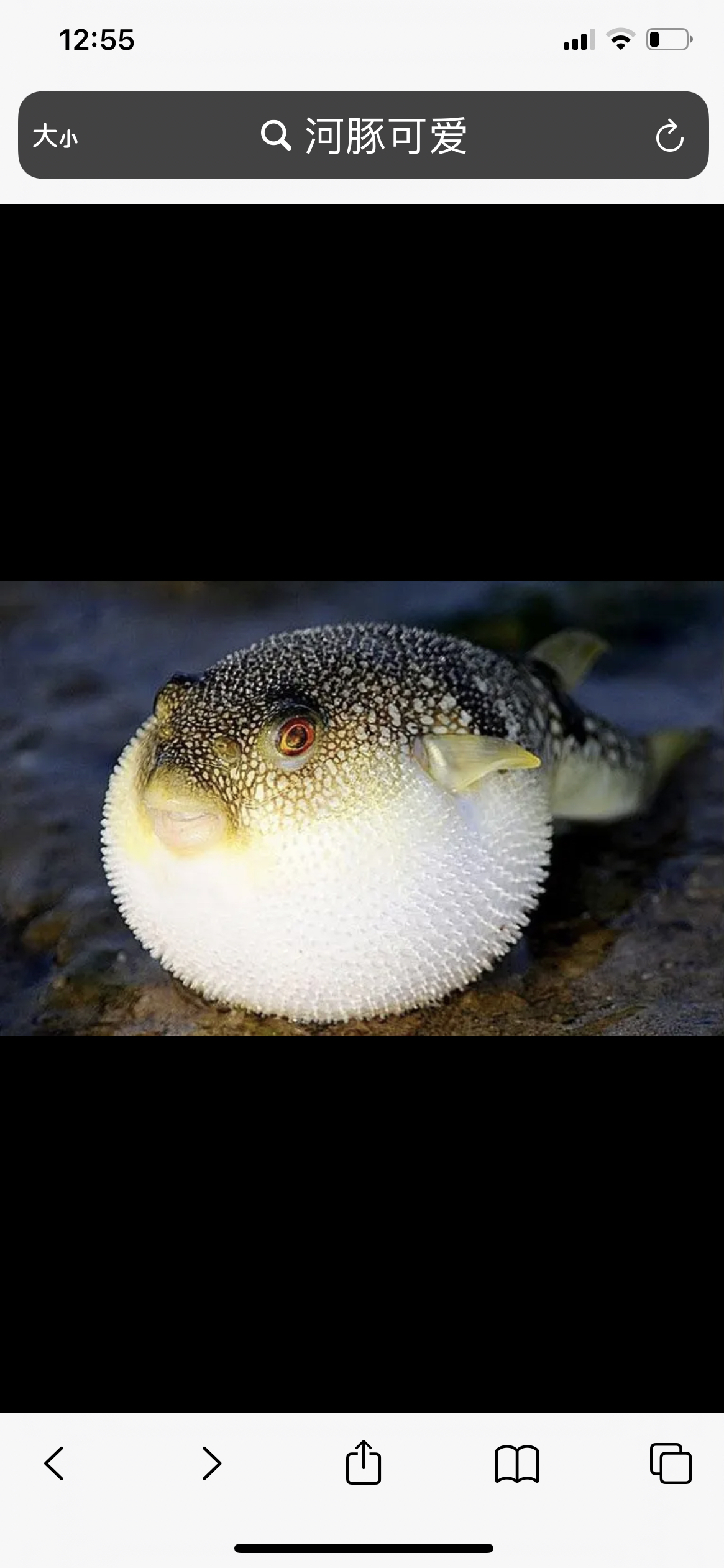0B8F33D9-5404-4698-B73C-5A0FB0B30A96.jpeg